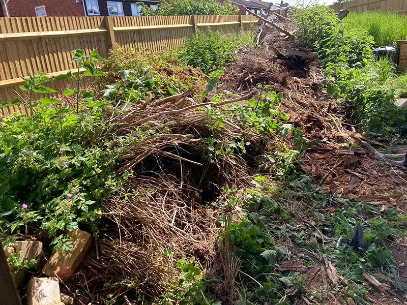 Garden Clearance Bromley