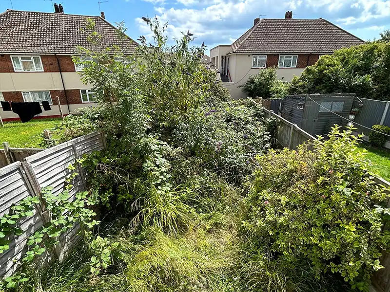 Garden Clearance Service Bromley